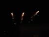 18_146 St-Emilion.jpg